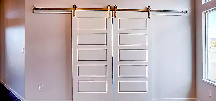 Glass Barn Door with Installation Hardware Kit Cliffside Park